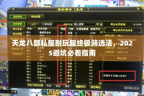 天龙八部私服耐玩服终极筛选法,2025避坑必看指南 天龙八部私服耐玩服终极筛选法,2025避坑必看指南