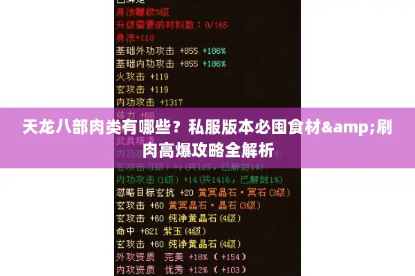 天龙八部肉类有哪些？私服版本必囤食材&刷肉高爆攻略全解析