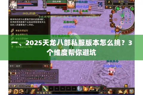 一、2025天龙八部私服版本怎么挑？3个维度帮你避坑