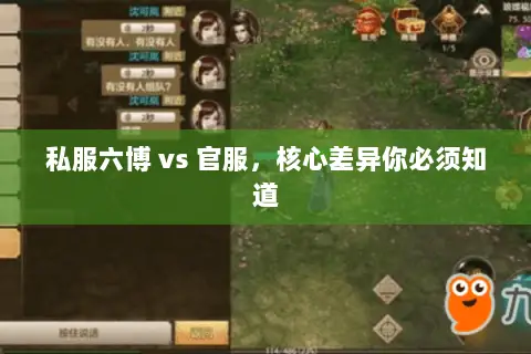 私服六博 vs 官服,核心差异你必须知道 私服六博 vs 官服,核心差异你必须知道