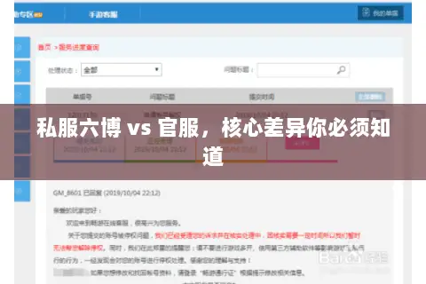 私服六博 vs 官服,核心差异你必须知道 私服六博 vs 官服,核心差异你必须知道