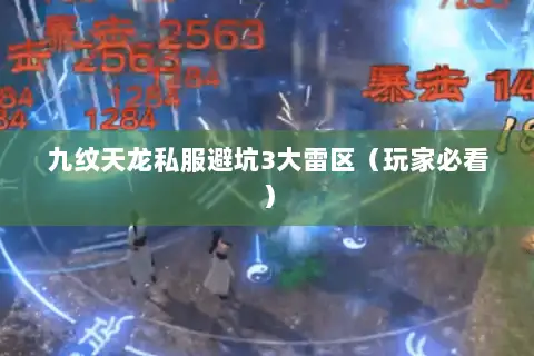 九纹天龙私服避坑3大雷区（玩家必看）