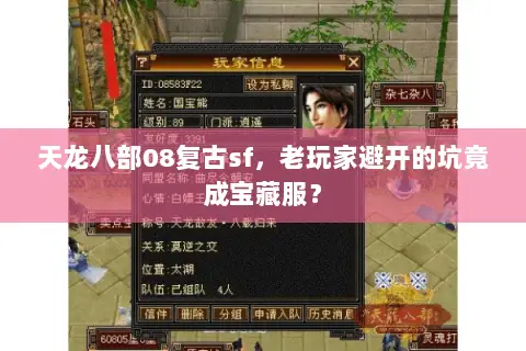 天龙八部08复古sf,老玩家避开的坑竟成宝藏服? 天龙八部08复古sf,老玩家避开的坑竟成宝藏服?