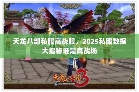 天龙八部私服高战服,2025私服数据大揭秘谁是真战场 天龙八部私服高战服,2025私服数据大揭秘谁是真战场