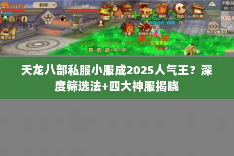 天龙八部私服小服成2025人气王?深度筛选法+四大神服揭晓 天龙八部私服小服成2025人气王?深度筛选法+四大神服揭晓