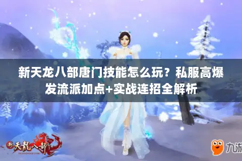 新天龙八部唐门技能怎么玩?私服高爆发流派加点+实战连招全解析 新天龙八部唐门技能怎么玩?私服高爆发流派加点+实战连招全解析