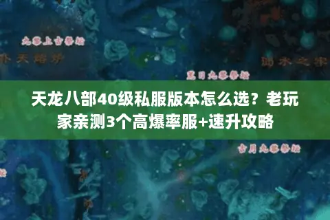 天龙八部40级私服版本怎么选?老玩家亲测3个高爆率服+速升攻略 天龙八部40级私服版本怎么选?老玩家亲测3个高爆率服+速升攻略