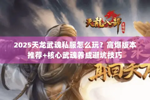 2025天龙武魂私服怎么玩?高爆版本推荐+核心武魂养成避坑技巧 2025天龙武魂私服怎么玩?高爆版本推荐+核心武魂养成避坑技巧