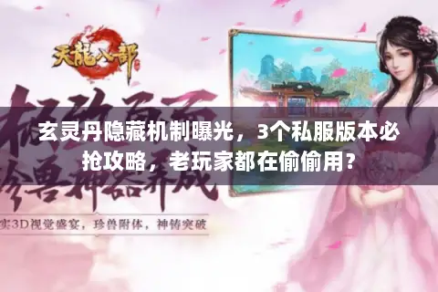玄灵丹隐藏机制曝光,3个私服版本必抢攻略,老玩家都在偷偷用? 玄灵丹隐藏机制曝光,3个私服版本必抢攻略,老玩家都在偷偷用?
