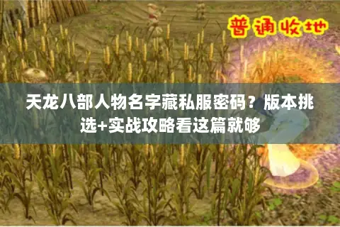 天龙八部人物名字藏私服密码?版本挑选+实战攻略看这篇就够 天龙八部人物名字藏私服密码?版本挑选+实战攻略看这篇就够