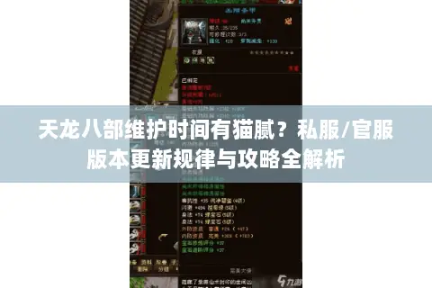 天龙八部维护时间有猫腻?私服/官服版本更新规律与攻略全解析 天龙八部维护时间有猫腻?私服/官服版本更新规律与攻略全解析