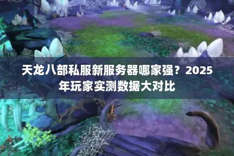 天龙八部私服新服务器哪家强？2025年玩家实测数据大对比