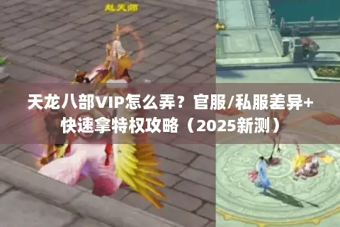 天龙八部VIP怎么弄？官服/私服差异+快速拿特权攻略（2025新测）