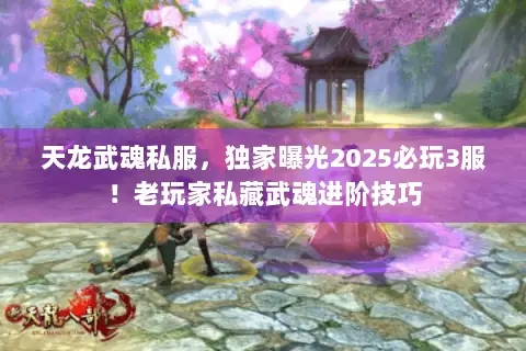 天龙武魂私服，独家曝光2025必玩3服！老玩家私藏武魂进阶技巧