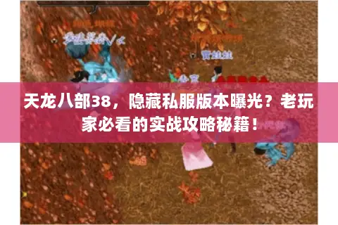 天龙八部38,隐藏私服版本曝光?老玩家必看的实战攻略秘籍! 天龙八部38,隐藏私服版本曝光?老玩家必看的实战攻略秘籍!