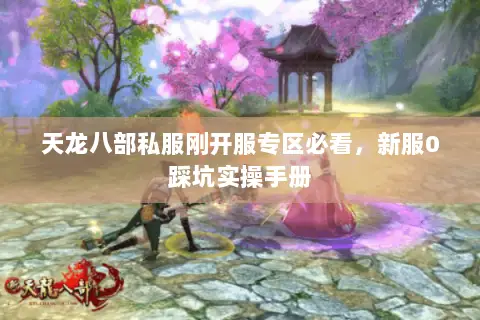 天龙八部私服刚开服专区必看,新服0踩坑实操手册 天龙八部私服刚开服专区必看,新服0踩坑实操手册