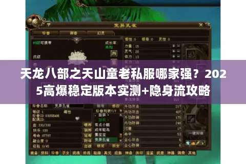 天龙八部之天山童老私服哪家强?2025高爆稳定版本实测+隐身流攻略 天龙八部之天山童老私服哪家强?2025高爆稳定版本实测+隐身流攻略