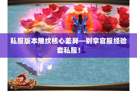私服版本雕纹核心差异—别拿官服经验套私服! 私服版本雕纹核心差异—别拿官服经验套私服!