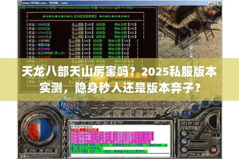 天龙八部天山厉害吗？2025私服版本实测，隐身秒人还是版本弃子？