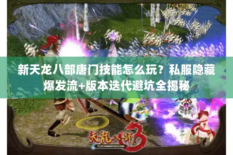 新天龙八部唐门技能怎么玩?私服隐藏爆发流+版本迭代避坑全揭秘 新天龙八部唐门技能怎么玩?私服隐藏爆发流+版本迭代避坑全揭秘