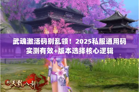 武魂激活码别乱领！2025私服通用码实测有效+版本选择核心逻辑