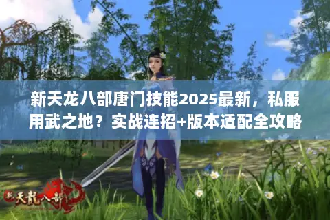新天龙八部唐门技能2025最新,私服用武之地?实战连招+版本适配全攻略 新天龙八部唐门技能2025最新,私服用武之地?实战连招+版本适配全攻略