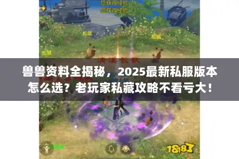 兽兽资料全揭秘,2025最新私服版本怎么选?老玩家私藏攻略不看亏大! 兽兽资料全揭秘,2025最新私服版本怎么选?老玩家私藏攻略不看亏大!