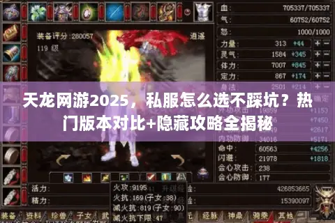 天龙网游2025，私服怎么选不踩坑？热门版本对比+隐藏攻略全揭秘