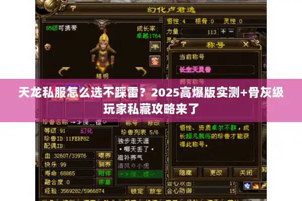 天龙私服怎么选不踩雷?2025高爆版实测+骨灰级玩家私藏攻略来了 天龙私服怎么选不踩雷?2025高爆版实测+骨灰级玩家私藏攻略来了