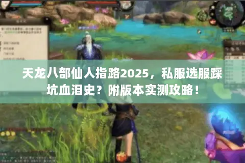 天龙八部仙人指路2025,私服选服踩坑血泪史?附版本实测攻略! 天龙八部仙人指路2025,私服选服踩坑血泪史?附版本实测攻略!