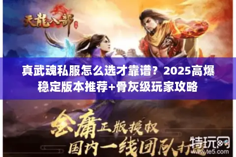 真武魂私服怎么选才靠谱？2025高爆稳定版本推荐+骨灰级玩家攻略