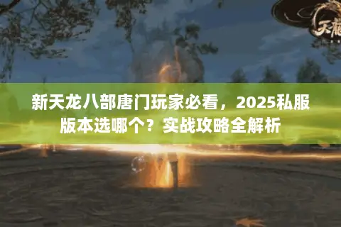 新天龙八部唐门玩家必看,2025私服版本选哪个?实战攻略全解析 新天龙八部唐门玩家必看,2025私服版本选哪个?实战攻略全解析