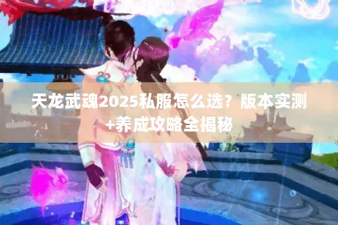 天龙武魂2025私服怎么选？版本实测+养成攻略全揭秘