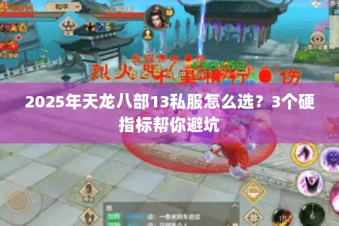 2025年天龙八部13私服怎么选?3个硬指标帮你避坑 2025年天龙八部13私服怎么选?3个硬指标帮你避坑