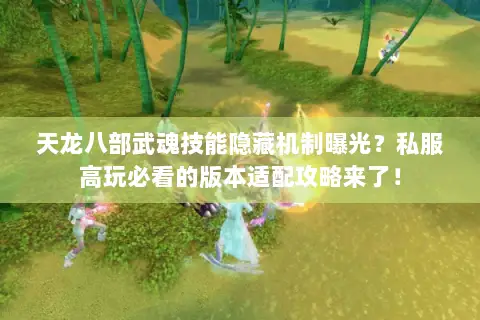 天龙八部武魂技能隐藏机制曝光?私服高玩必看的版本适配攻略来了! 天龙八部武魂技能隐藏机制曝光?私服高玩必看的版本适配攻略来了!