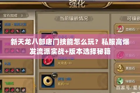 新天龙八部唐门技能怎么玩?私服高爆发流派实战+版本选择秘籍 新天龙八部唐门技能怎么玩?私服高爆发流派实战+版本选择秘籍