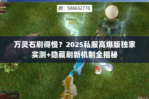 万灵石刷得慢?2025私服高爆版独家实测+隐藏刷新机制全揭秘 万灵石刷得慢?2025私服高爆版独家实测+隐藏刷新机制全揭秘