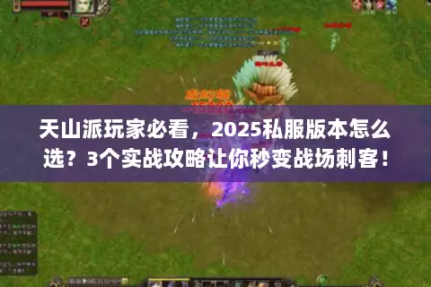 天山派玩家必看,2025私服版本怎么选?3个实战攻略让你秒变战场刺客! 天山派玩家必看,2025私服版本怎么选?3个实战攻略让你秒变战场刺客!