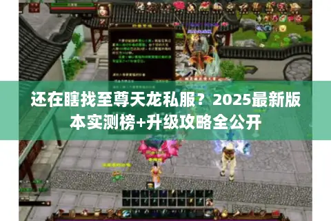 还在瞎找至尊天龙私服?2025最新版本实测榜+升级攻略全公开 还在瞎找至尊天龙私服?2025最新版本实测榜+升级攻略全公开