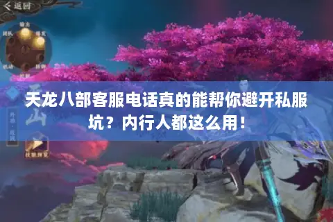 天龙八部客服电话真的能帮你避开私服坑？内行人都这么用！