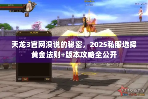 天龙3官网没说的秘密,2025私服选择黄金法则+版本攻略全公开 天龙3官网没说的秘密,2025私服选择黄金法则+版本攻略全公开