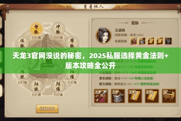 天龙3官网没说的秘密,2025私服选择黄金法则+版本攻略全公开 天龙3官网没说的秘密,2025私服选择黄金法则+版本攻略全公开