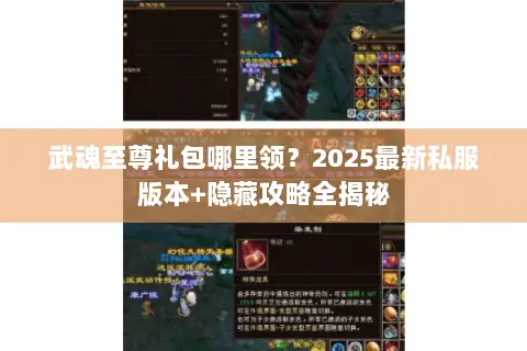 武魂至尊礼包哪里领?2025最新私服版本+隐藏攻略全揭秘 武魂至尊礼包哪里领?2025最新私服版本+隐藏攻略全揭秘