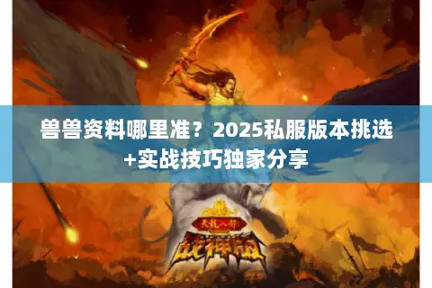 兽兽资料哪里准?2025私服版本挑选+实战技巧独家分享 兽兽资料哪里准?2025私服版本挑选+实战技巧独家分享
