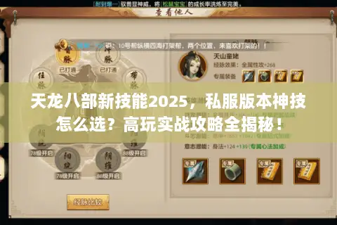 天龙八部新技能2025,私服版本神技怎么选?高玩实战攻略全揭秘! 天龙八部新技能2025,私服版本神技怎么选?高玩实战攻略全揭秘!