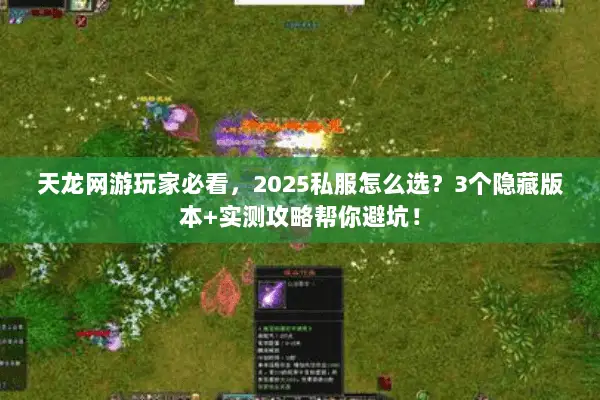 天龙网游玩家必看,2025私服怎么选?3个隐藏版本+实测攻略帮你避坑! 天龙网游玩家必看,2025私服怎么选?3个隐藏版本+实测攻略帮你避坑!