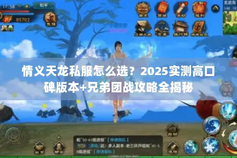情义天龙私服怎么选？2025实测高口碑版本+兄弟团战攻略全揭秘
