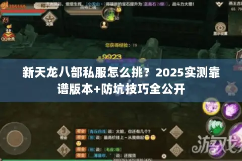 新天龙八部私服怎么挑？2025实测靠谱版本+防坑技巧全公开