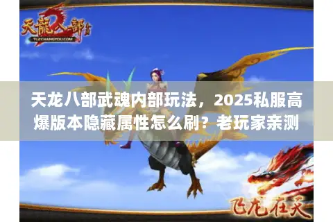 天龙八部武魂内部玩法,2025私服高爆版本隐藏属性怎么刷?老玩家亲测 天龙八部武魂内部玩法,2025私服高爆版本隐藏属性怎么刷?老玩家亲测