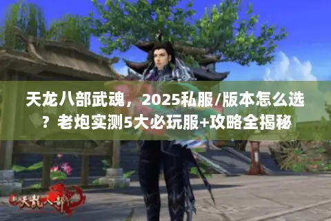 天龙八部武魂,2025私服/版本怎么选?老炮实测5大必玩服+攻略全揭秘 天龙八部武魂,2025私服/版本怎么选?老炮实测5大必玩服+攻略全揭秘